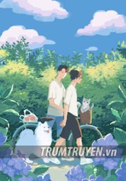 Bạn Cùng Bàn Nói Tôi Giống Chó Của Cậu Ấy