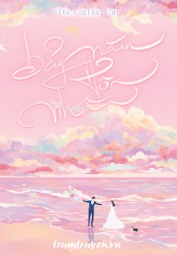 Bảy Năm Hôn Nhân