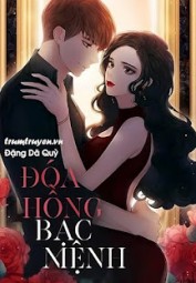 Đóa Hồng Bạc Mệnh