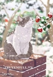 Mang Trăng Sao Chạy Về Phía Em