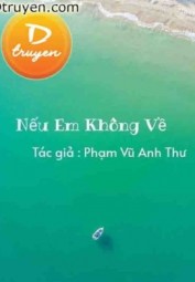 Nếu Em Không Về