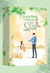 XUYÊN THÀNH QUẢ TIM NHỎ CỦA NAM PHỤ