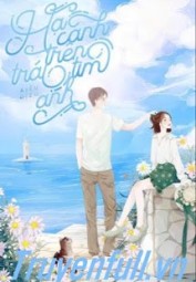 Hạ Cánh Trên Trái Tim Anh